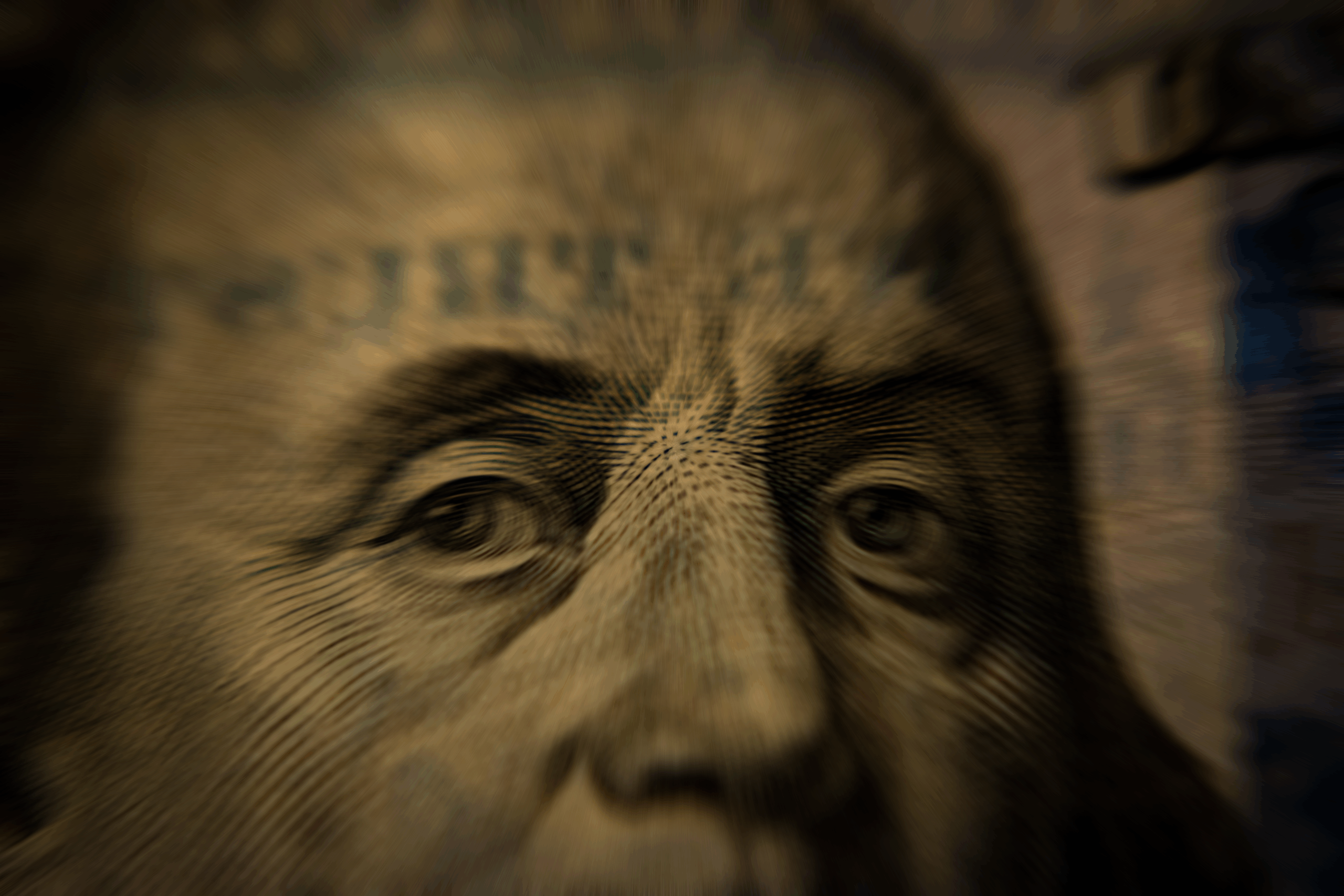 How Governments Are Monetizing Citizen Data